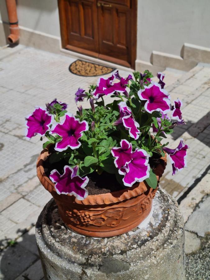 Voltamare Daire Castellammare del Golfo Dış mekan fotoğraf